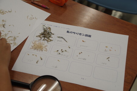 IMGP1448.JPG